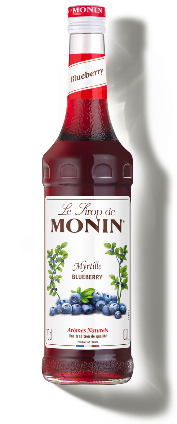 Sirup MONIN Borovnica